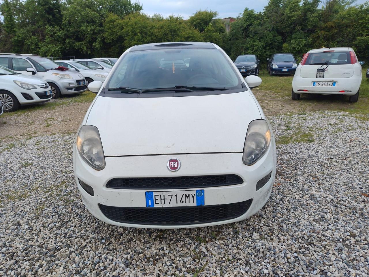 Fiat Punto Evo Punto Evo 1.3 Mjt 75 CV DPF 3 porte S&S Dynamic