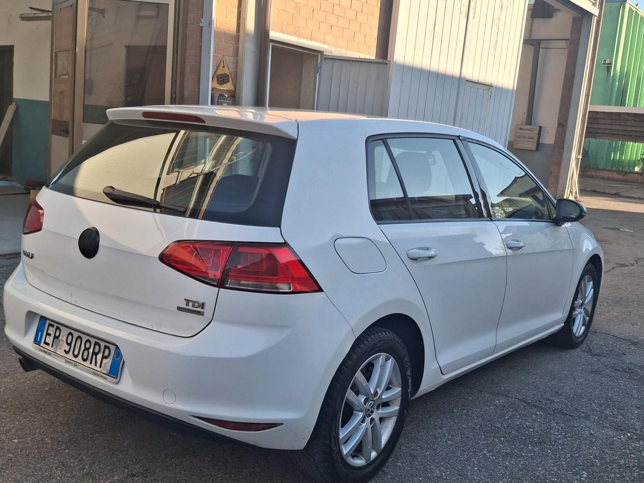 Volkswagen Golf 1.6 TDI 5p. Highline BlueMotion Technology