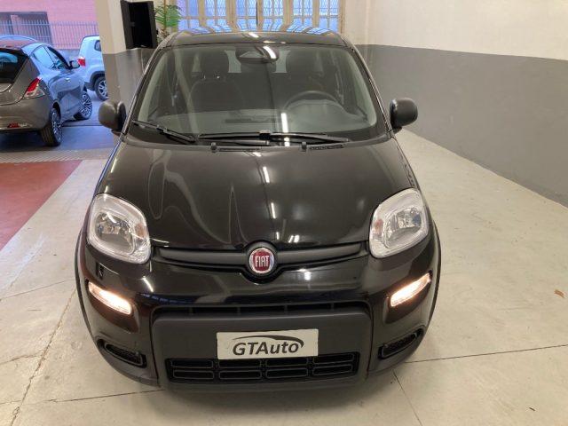 FIAT Panda 1.0 FireFly S&S Hybrid Pandina PROMO GTAUTO