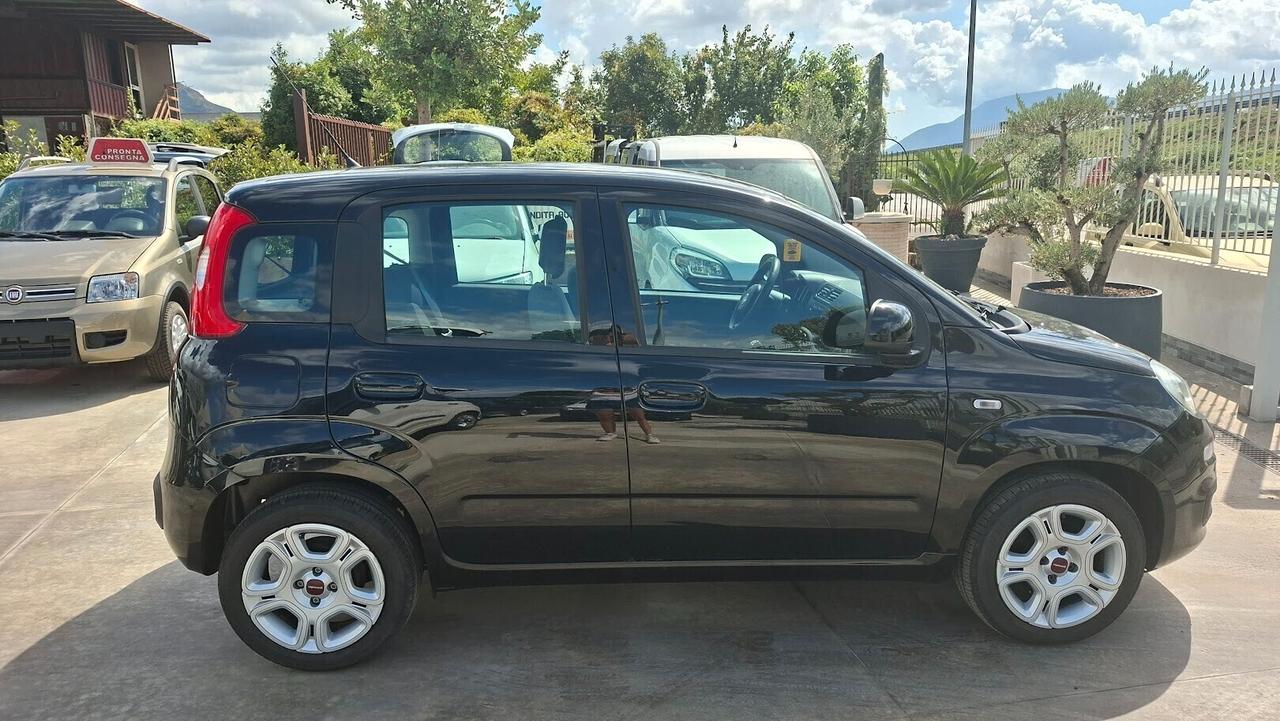 Fiat Panda 1.2 Lounge 2019 69 Cv
