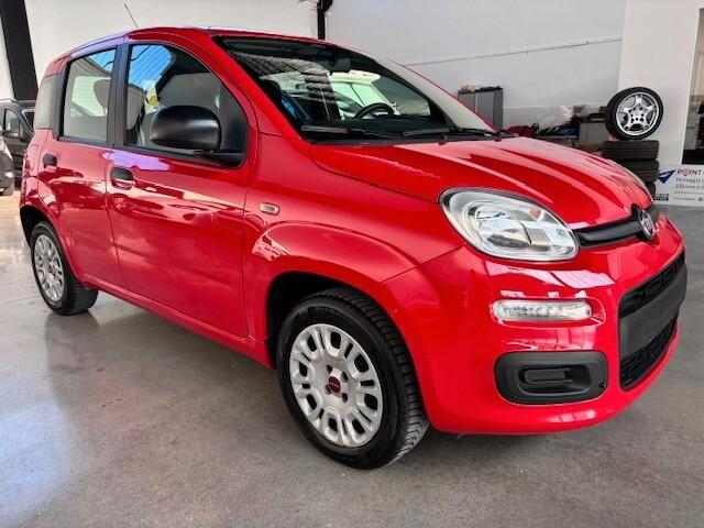 Fiat Panda 1.2 1.2 BENZINA, CLIMA,PERMUTABILE