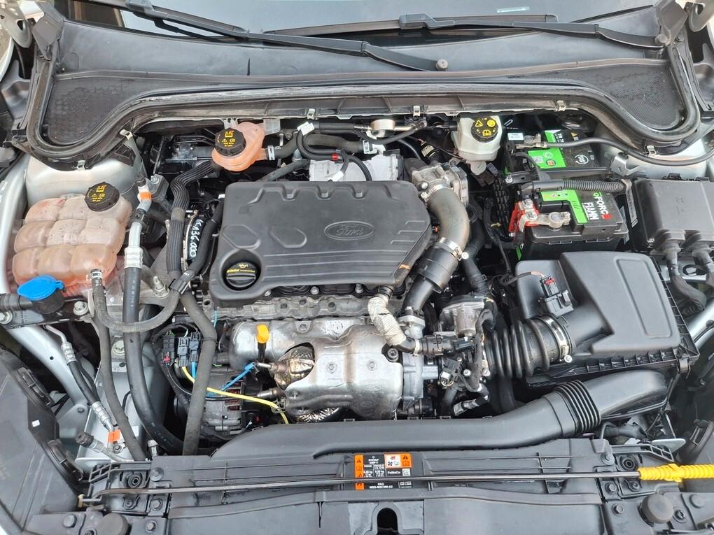 Ford Focus 1.5 TDCi 95cv 10/2018