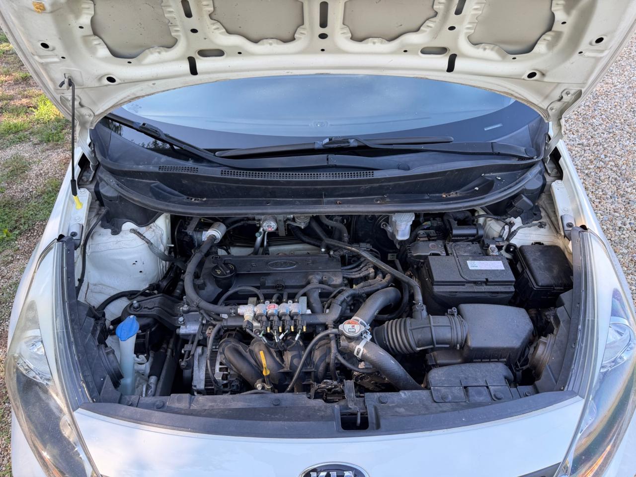 Kia Rio 1.2 CVVT 5p. ECO GPL Cool