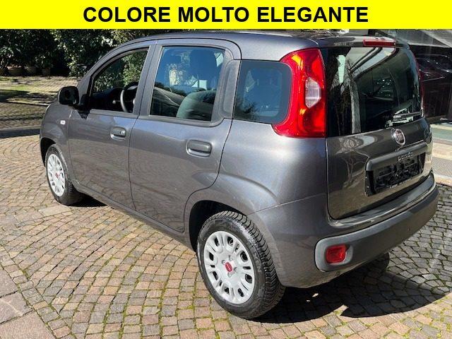 FIAT Panda 1.2 Benzina Neopatentati