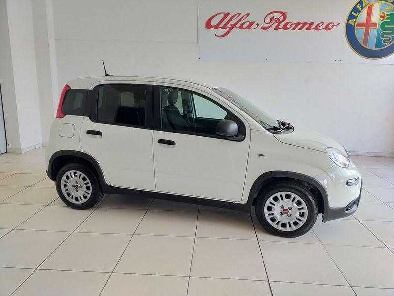 FIAT Panda 1.0 S&S Hybrid Van 2 posti KM0