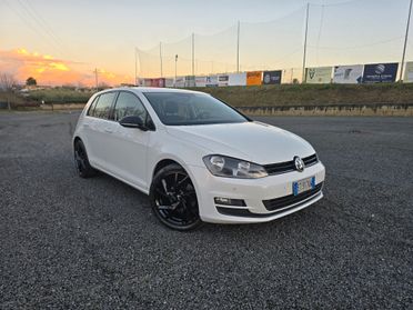 Volkswagen Golf 1.6 TDI 5p. Highline BlueMotion