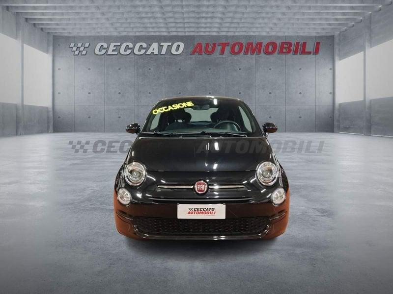 FIAT 500 500 1.0 hybrid Cult 70cv