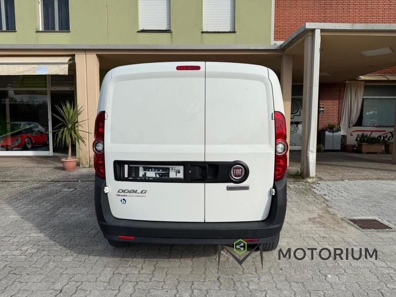 FIAT Doblo cargo 1.6 mjt 105cv CH1 Business S&S