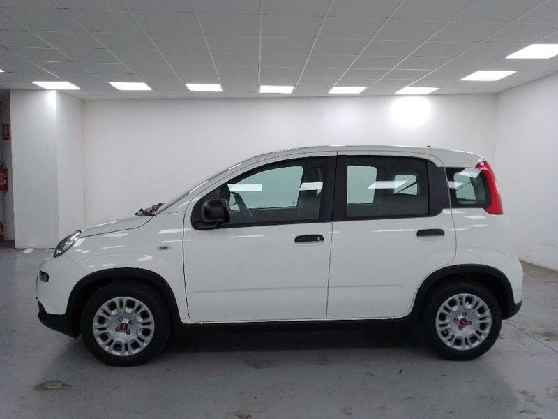 FIAT Panda 1.0 firefly hybrid s&s 70cv