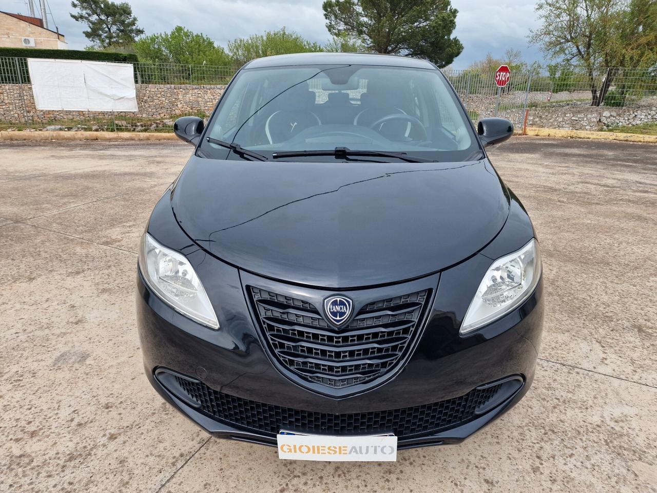 Lancia Ypsilon 1.2 69 CV 5 porte Elefantino