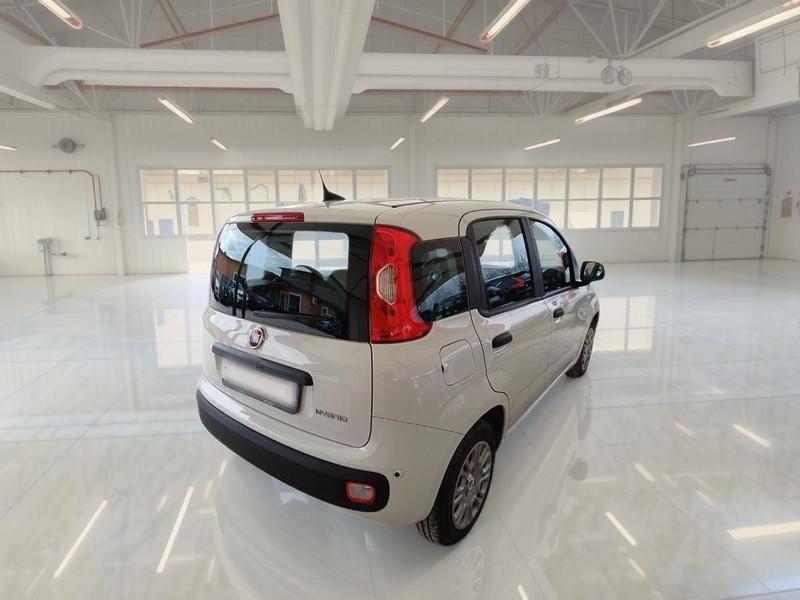 FIAT PANDA 1.0 FIREFLY 70 CV SES HYBRID 5 PORTE BERLINA