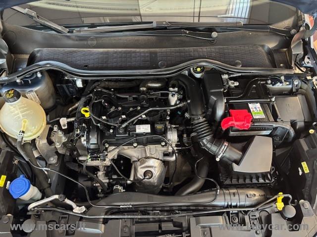 FORD Fiesta 1.1 75 CV 5p. Titanium