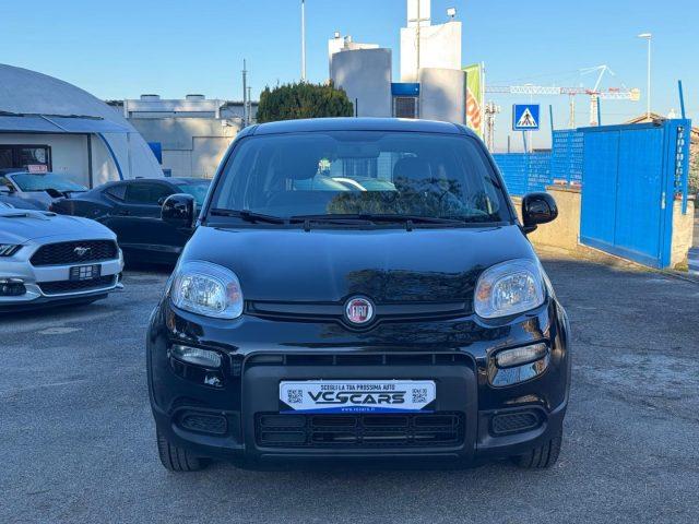 FIAT Panda 1.0 FireFly S&S Hybrid *PROMO* *OK NEOPATENTATI*