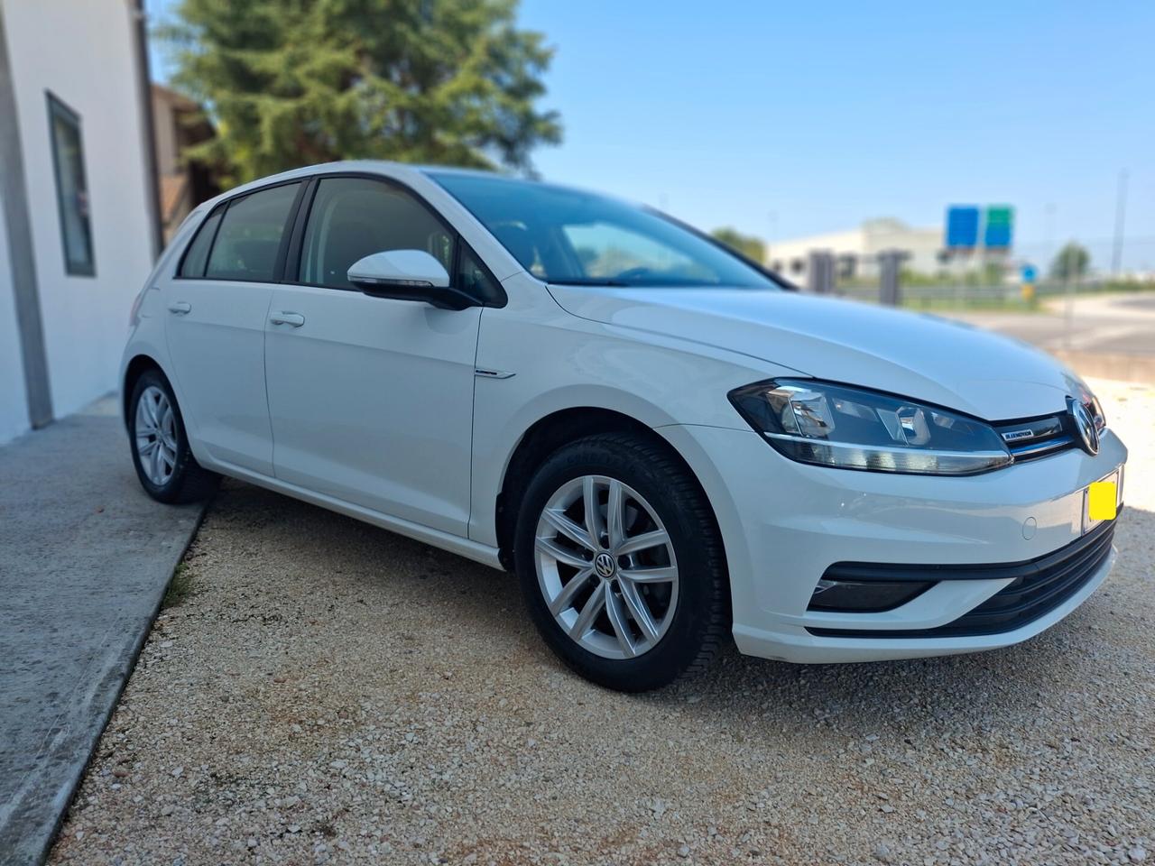 Volkswagen Golf 1.5 TGI DSG 5p. Executive BlueMotion Technology