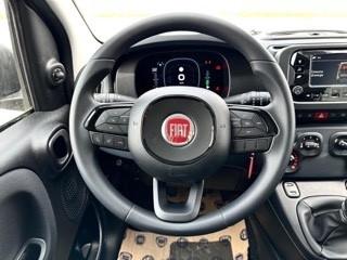Fiat Panda 1.0 FireFly S&S Hybrid KM ZERO