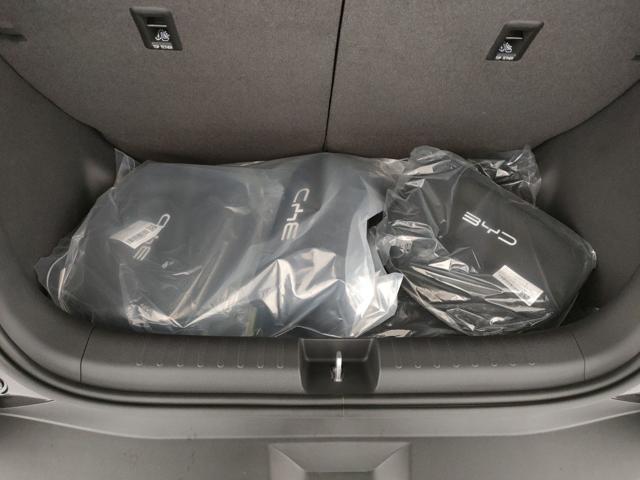 BYD Dolphin Surf 43,2 kWh Boost