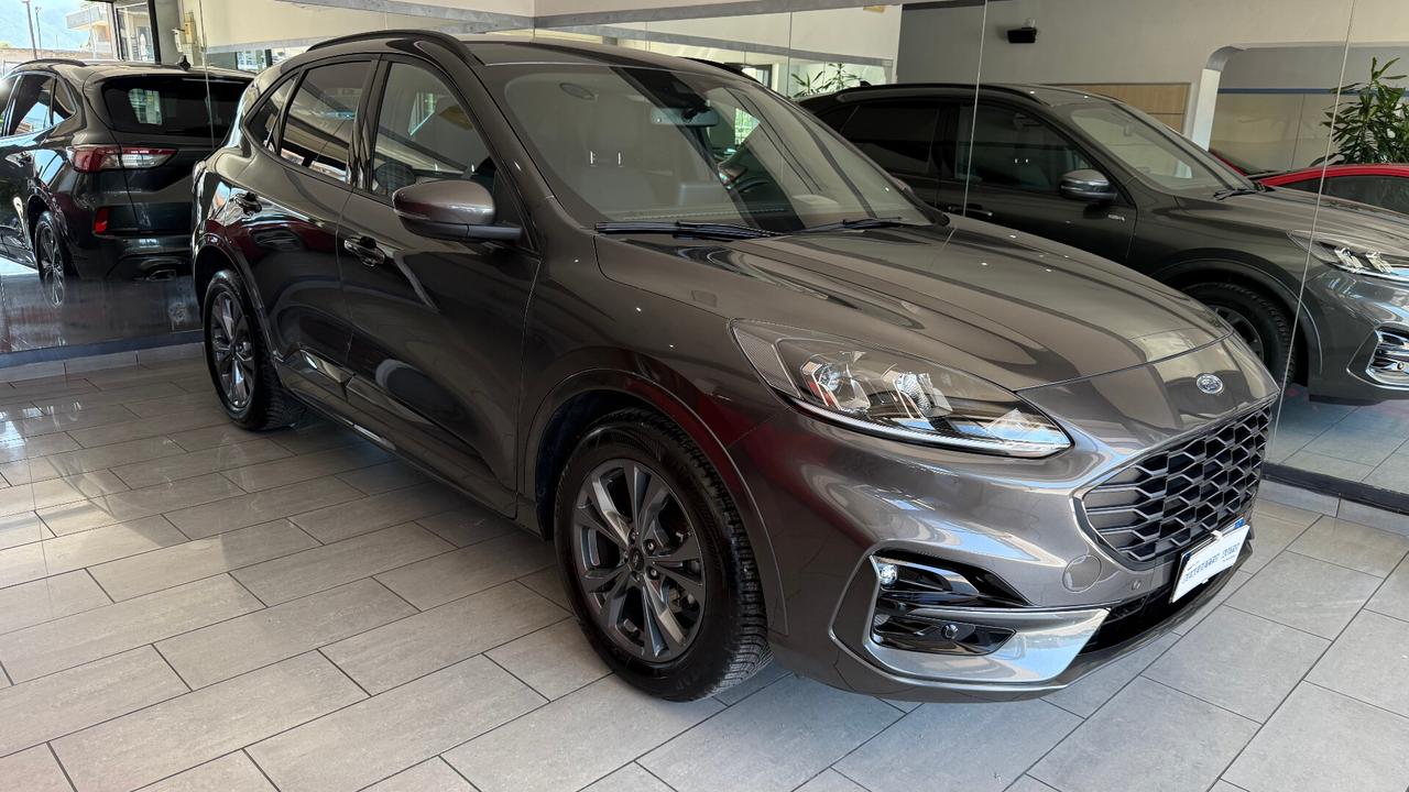Ford Kuga 2.0 EcoBlue 120CV ST LINE