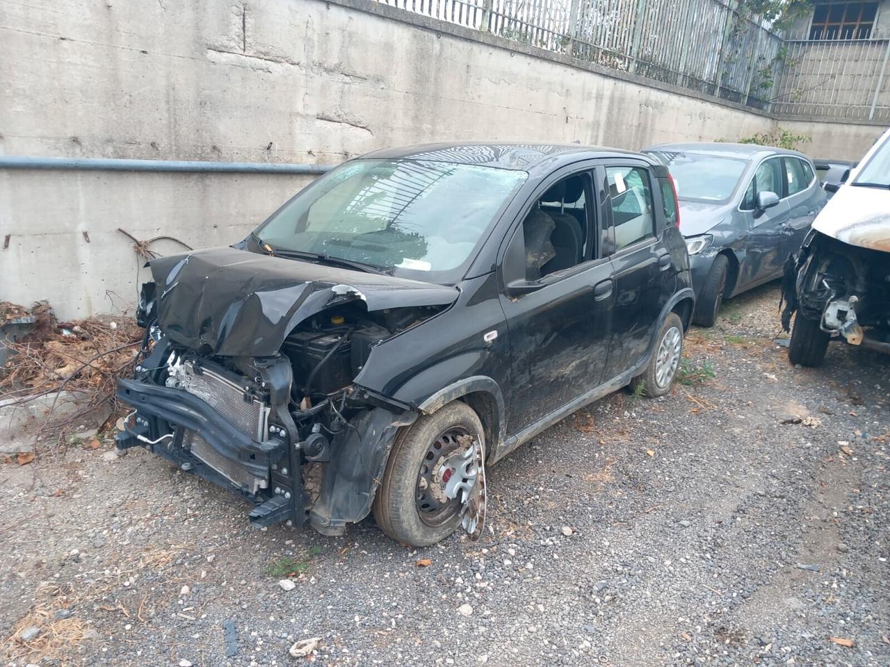Fiat Panda 1.0 BENZINA IBRIDA ANNO 2025 SINISTRADA PANDINA