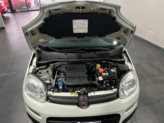 FIAT Panda 1.2 Easy km 49.000