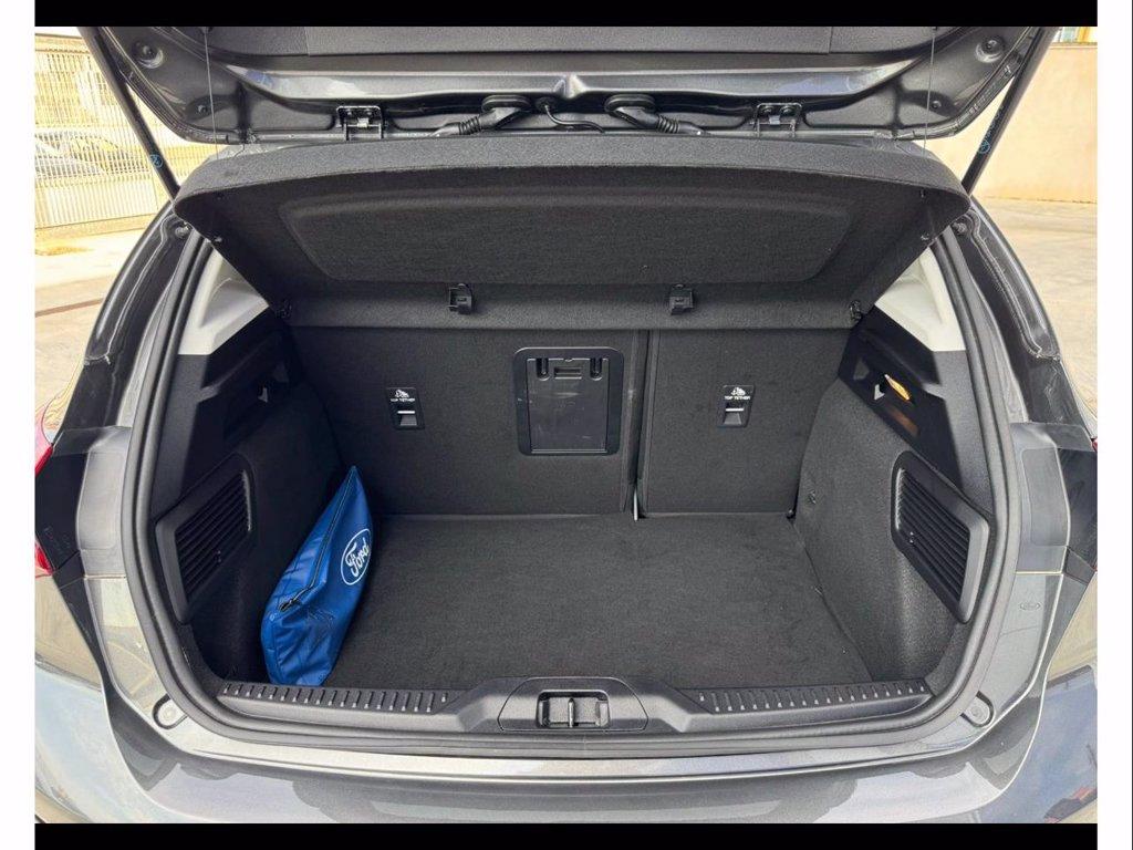 FORD Focus active 1.5 ecoblue x 115cv auto del 2024