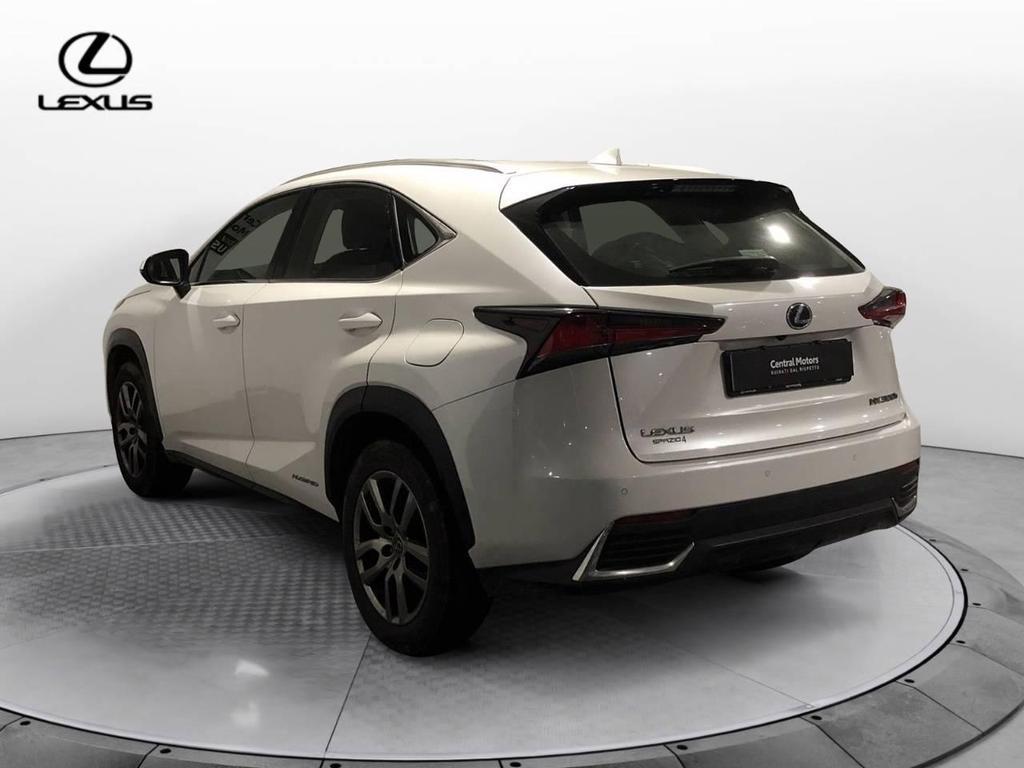 Lexus NX 300 300 2.5 Hybrid Premium 4WD CVT