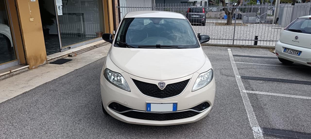 LANCIA Ypsilon 1.2 69 CV 5 porte Platinum - 2016