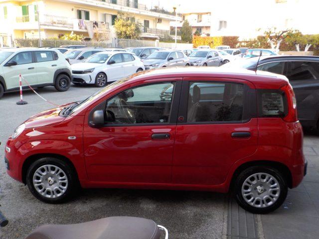 FIAT Panda MY25 - 1.0 FireFly Hybrid ICON