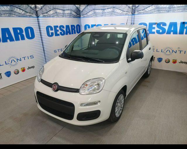 FIAT Pandina 1.0 firefly hybrid Pop s&s 65cv