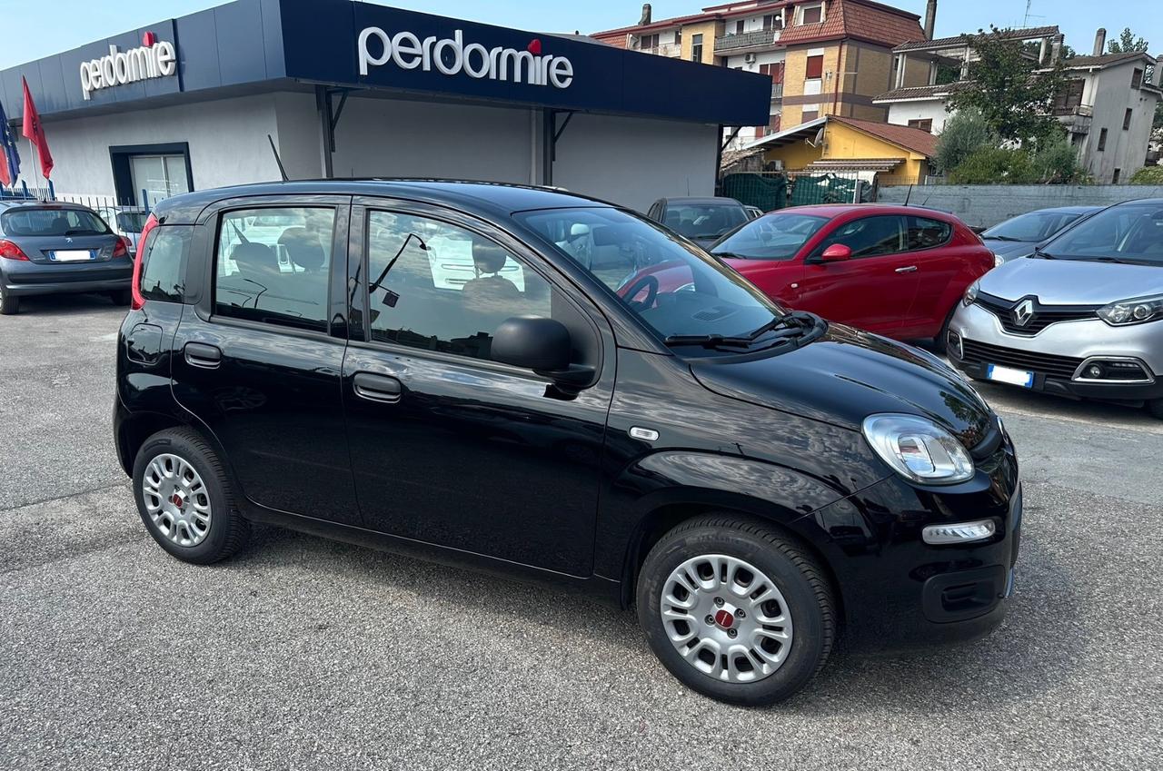 Fiat Panda 1.2 fire 4 cilindri 2021
