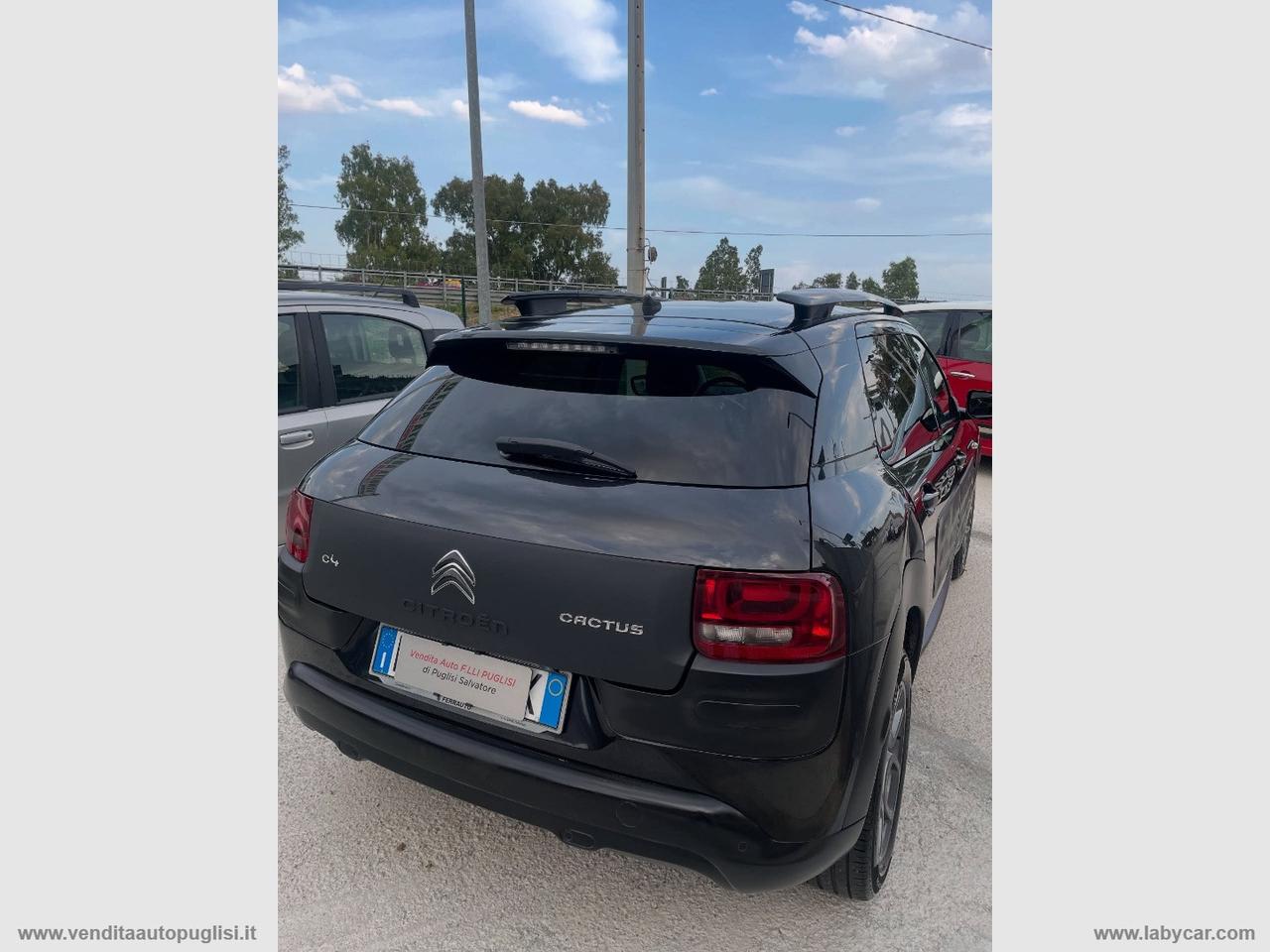 CITROEN C4 Cactus BlueHDi 100 Shine