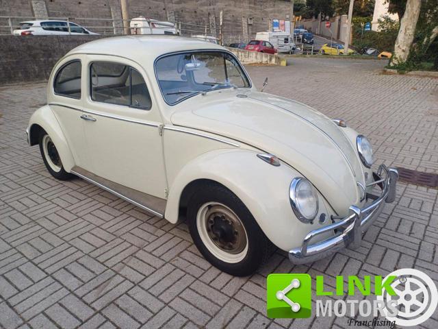 VOLKSWAGEN Maggiolino MY 63 in ordine di carrozzeria e meccanica