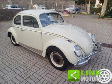 VOLKSWAGEN Maggiolino MY 63 in ordine di carrozzeria e meccanica