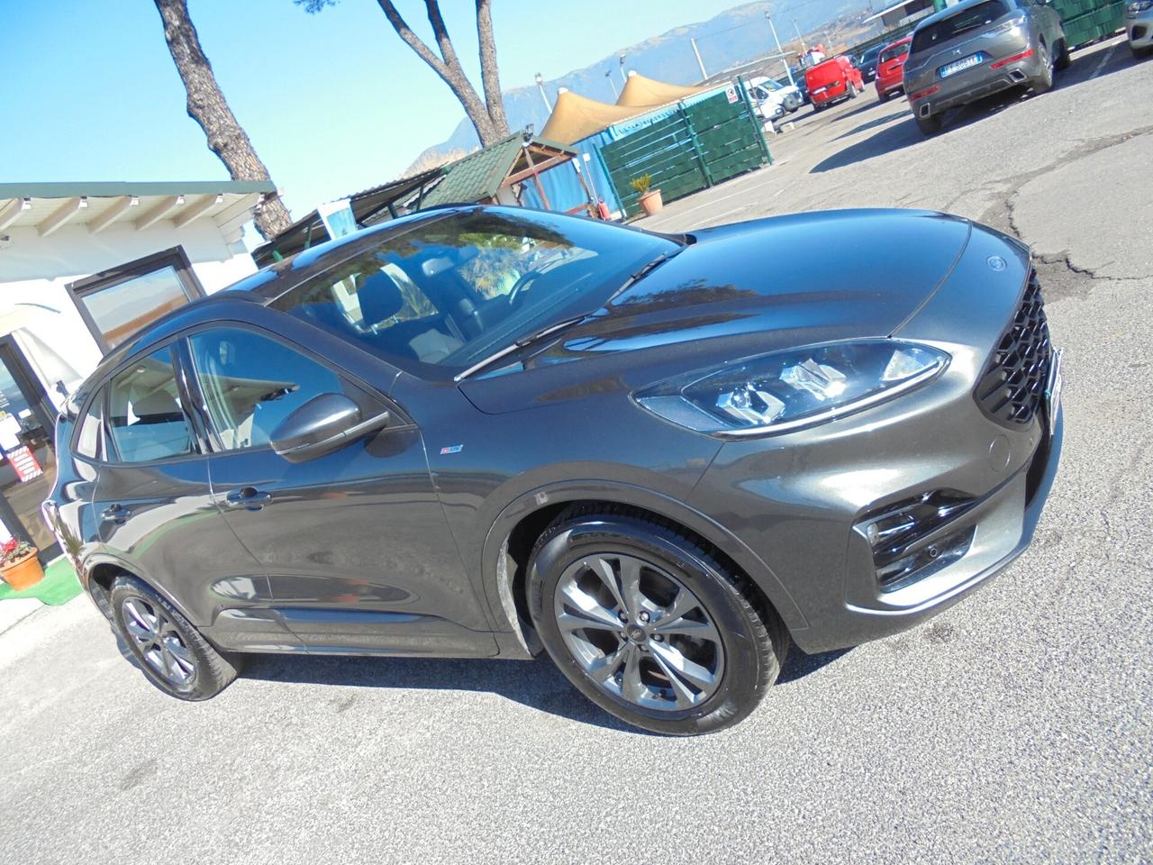 Ford Kuga 1.5 EcoBlue 120 CV 2WD ST-Line