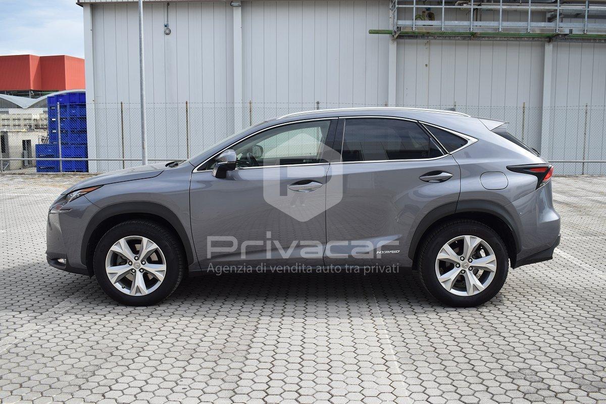 LEXUS NX Hybrid 4WD Luxury