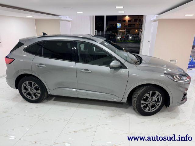 FORD Kuga 1.5 EcoBoost 150 CV S&S 2WD ST-Line Business