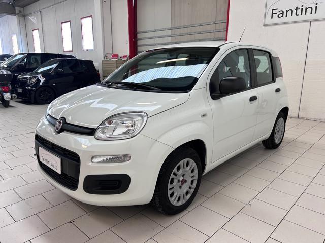 FIAT Panda 1.2 BENZ NEOPATENTATI GARANZIA 12 MESI