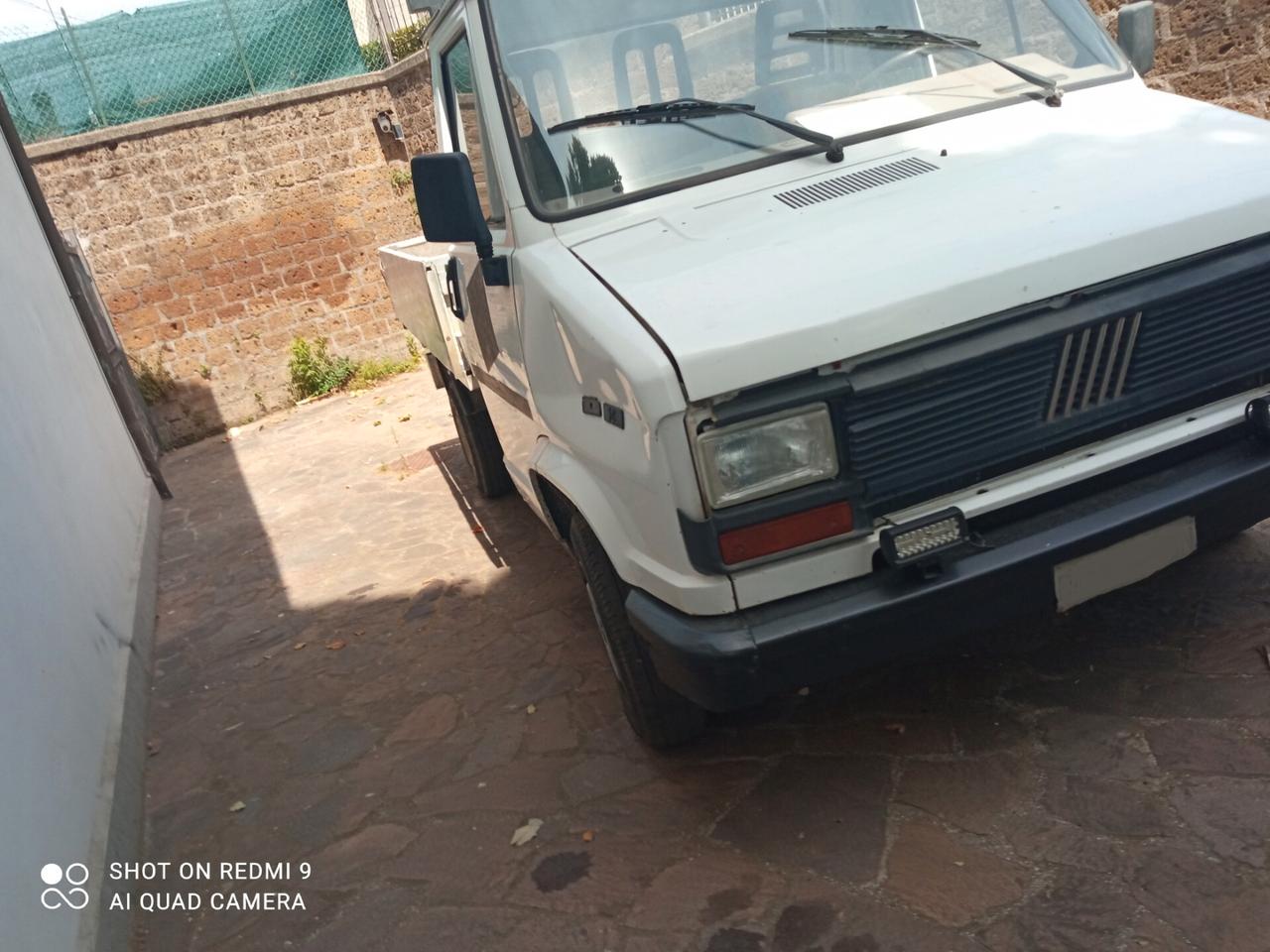 AUTOCARRO CASSONATO