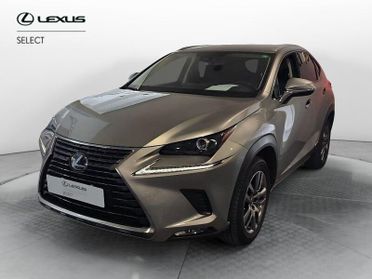 Lexus NX Hybrid 4WD Executive