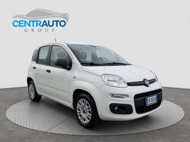 FIAT Panda Panda 1.2 69cv Easy