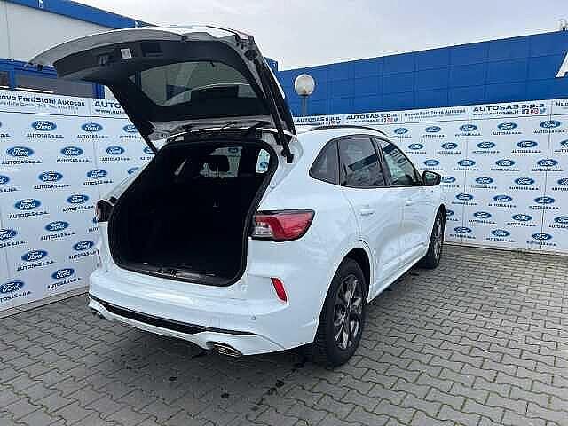 Ford Kuga 1.5 EcoBlue 120 CV 2WD ST-Line X