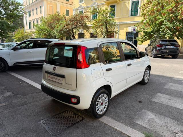 FIAT Panda 1.0 FireFly S&S Hybrid Easy-Nuovissima