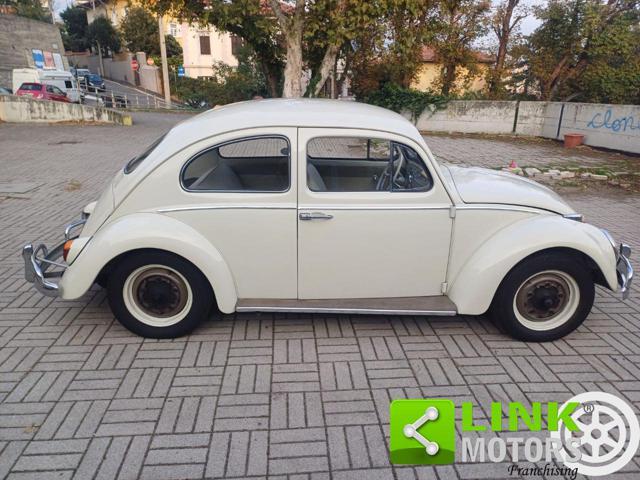 VOLKSWAGEN Maggiolino MY 63 in ordine di carrozzeria e meccanica