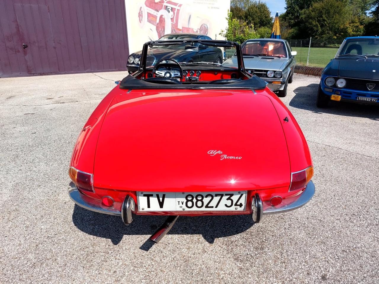 Alfa Romeo Spider Duetto 1600 Osso di Seppia del 1966