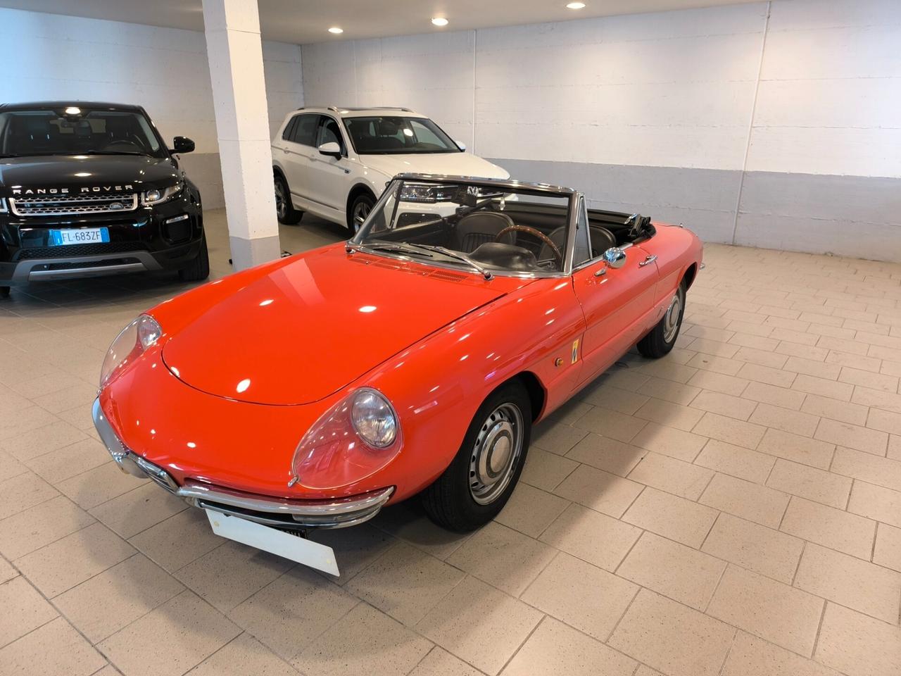 Alfa Romeo Spider