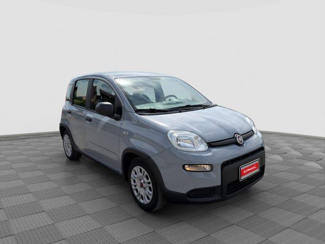 FIAT Panda Panda 1.0 FireFly Hybrid City Life
