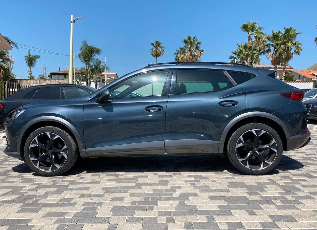 Cupra Formentor 2.0 TDI 150CV DSG 4drive Tetto