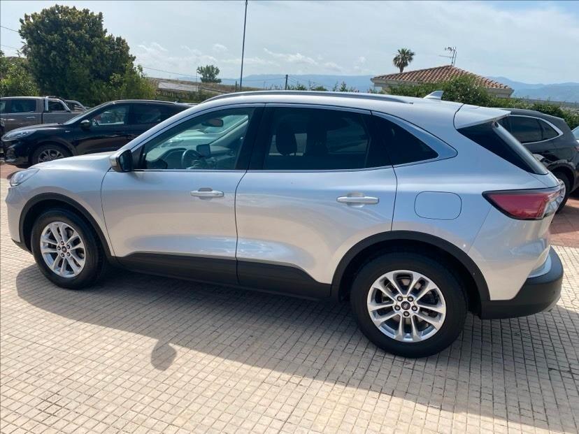 Ford Kuga 1.5 EcoBlue 120 CV 2WD Titanium