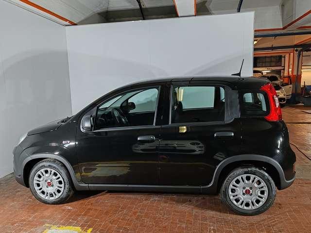 Fiat Panda 1.0 Hybrid 70cv 36 Rate da 177,95