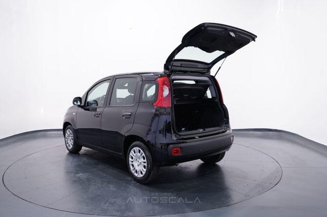 FIAT New Panda My25 1.0 FireFly S&S Hybrid #Pack City #5posto
