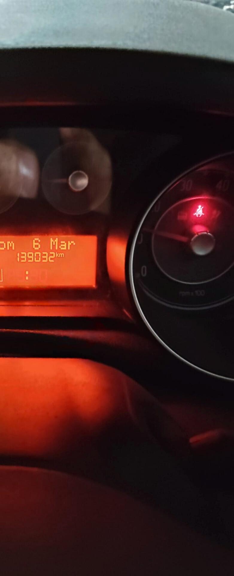 Fiat Punto Evo 1.3 Mjt 75 CV 5 porte Active